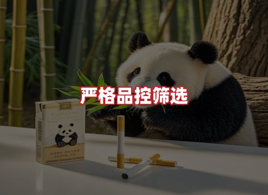 专业团队